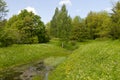 Overgrown forest pond Royalty Free Stock Photo