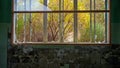 Overgrown garden in autumn through the window of abandoned house