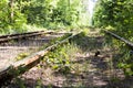 Overgrown with grass and small trees old tram tracks