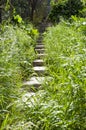 Overgrown grassy stone steps stairs in summer garden natural landscape