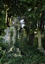 Overgrown grave stones book cover or poster