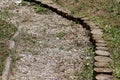 Overgrown gravel path filled with dry grass surrounded with stone curb on one side and tree stumps on other Royalty Free Stock Photo