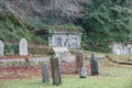 Overgrown graves Tavistock graveyard