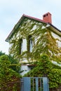 Overgrown in green ivy decorative plant countryside white house Royalty Free Stock Photo