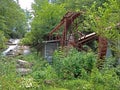 Overgrown Gristmill