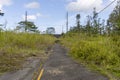 Overgrown Hawaiian Lava Road