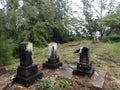 Overgrown Historic Wet Graveyard among ironwood trees