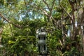 An overgrown house in Key West, Florida