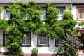 Overgrown house wall Royalty Free Stock Photo