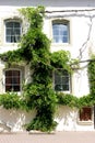 Overgrown house wall Royalty Free Stock Photo