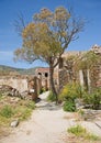 Overgrown houses on Spinalonga. Royalty Free Stock Photo