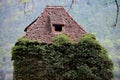 Overgrown ivy on abandoned house Royalty Free Stock Photo