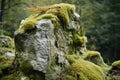 Overgrown lichen rock. Generate Ai Royalty Free Stock Photo