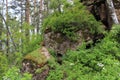 Overgrown with moss and grass stones Royalty Free Stock Photo