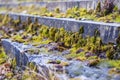 Overgrown with moss steps Royalty Free Stock Photo