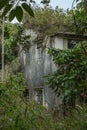 Overgrown by nature, abandoned homes on Yim Tin Tsai, an island in Sai Kung, Hong Kong