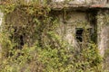 Overgrown by nature, abandoned homes on Yim Tin Tsai, an island in Sai Kung, Hong Kong Royalty Free Stock Photo