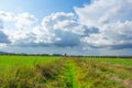 Path between dutch landscapes in the polder