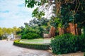 Overgrown pond and hedge in spring park of Barcelona. Part of famous Montjuic fountain near National art museum. Trimmed bushes, Royalty Free Stock Photo