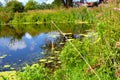 An overgrown pond on a Sunny day. Reflection of the sky and clouds on the water surface. Beautiful natural summer landscape. A Royalty Free Stock Photo