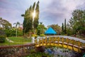 Overgrown pond with water lilies in the evening at the bridge in the Park. Malaysia. Kota Kinabalu Royalty Free Stock Photo