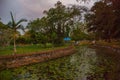 Overgrown pond with water lilies in the evening in the Park. Malaysia. Kota Kinabalu