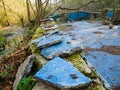 Overgrown pool next to a stream in a post-apocalyptic setting Royalty Free Stock Photo