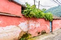 Overgrown red, weathered house exterior, Central America Royalty Free Stock Photo