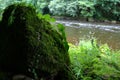 Overgrown rock next to the river. Royalty Free Stock Photo