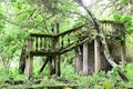 Overgrown ruins of abandoned mansion, Abkhazia