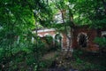 Overgrown ruins of abandoned mansion. Former baron von Derviz manor, Ryazan region