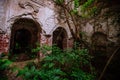 Overgrown ruins of abandoned mansion. Former baron von Derviz manor, Ryazan region