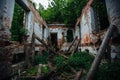 Overgrown ruins of abandoned mansion. Former baron von Derviz manor, Ryazan region