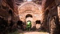 The overgrown ruins of an ancient mosque in the town of Murshidabad Royalty Free Stock Photo