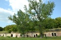 The overgrown ruins of Kobrin strengthening of the Brest fortress