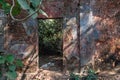 Overgrown ruins of an old abandoned Portuguese era house