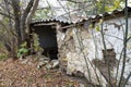The overgrown ruins of a rural building Royalty Free Stock Photo