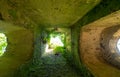 Overgrown ruins of St MaryÃ¢â¬â¢s church, hidden in woods in East Somerton near Winterton-on-Sea, North Norfolk UK Royalty Free Stock Photo