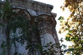 The overgrown ruins of the summer theater Royalty Free Stock Photo