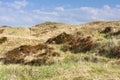 Overgrown Sand Dunes in Norderney