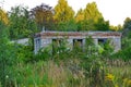 Overgrown with shrubs and trees, the ruins of a thrown brick house