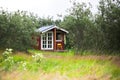 Overgrown Small House in Iceland Royalty Free Stock Photo