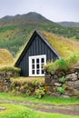 Overgrown Small House in Iceland Royalty Free Stock Photo