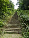 Overgrown stairs in a forest park Royalty Free Stock Photo