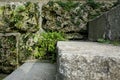 Overgrown stairs from stone in spring or summer Royalty Free Stock Photo