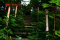 Overgrown stairs to nowhere