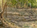 Overgrown stone stairs - Sambor Prei Kuk