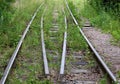 Overgrown with thick green grass old railway Royalty Free Stock Photo