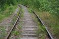 Overgrown with thick green grass old railway Royalty Free Stock Photo