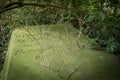 Overgrown tomb in St Peter`s church in Aisthorpe, Lincolnshire, England